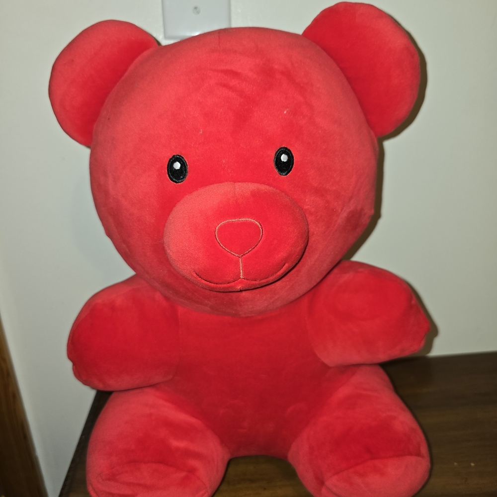 Red Plush Teddy Bear